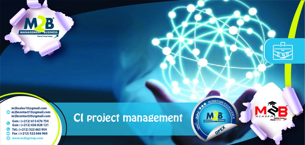 CI Project management