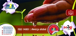 [SFO_B_QHSE_DD_EV_100] ISO 14001 - Aperçu global